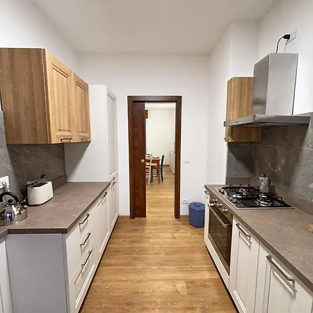 公寓 Spacious 2 Terraces 2 Parking Spaces 皮耶韦迪卡多雷